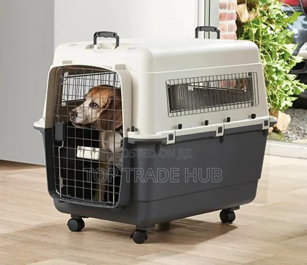 Heavy-Duty Dog Travel Crate Kennel- IATA Approved(97*67*75)