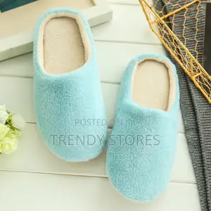 Blue Fur Indoor Shoes