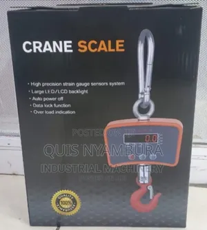 Digital Balance Scale/ 500kg Balance Weighing Scale Crane