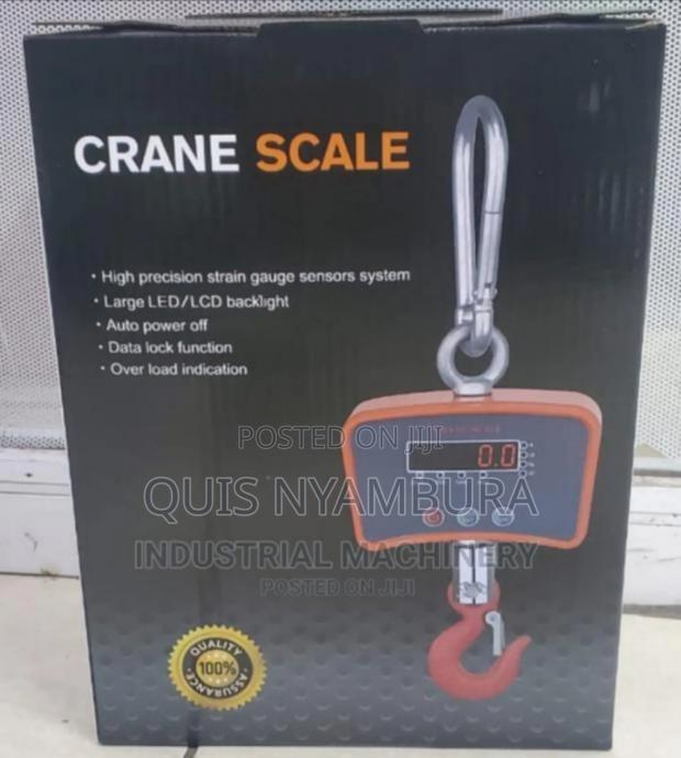 Digital Balance Scale/ 500kg Balance Weighing Scale Crane