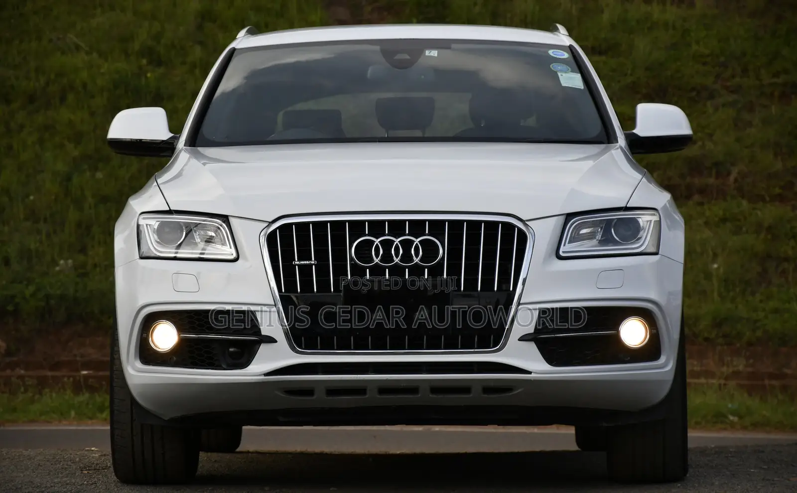 Audi Q5 2016 White
