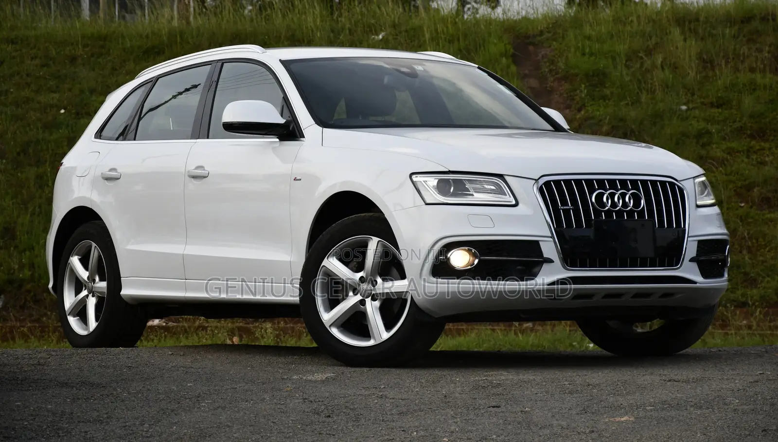 Audi Q5 2016 White
