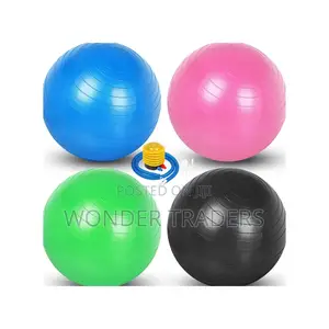 75cm Anti-Burst Yoga Ball With a Pump