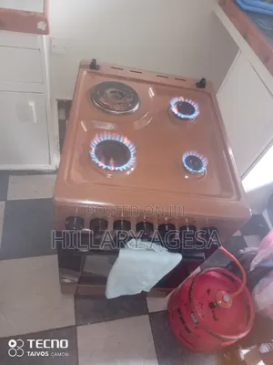 Electric Cooker Leakage Repair