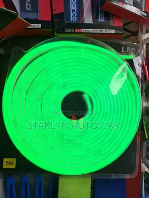 Neon Lights 12v