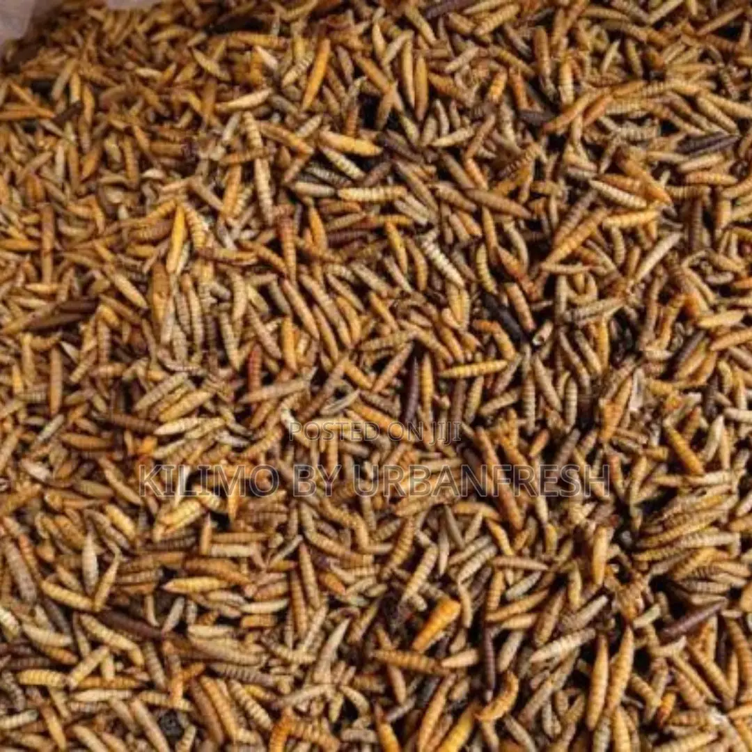 Dried BSF Larvae Feed. 50% Crude Protein. 25kgs