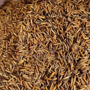 Dried BSF Larvae Feed. 50% Crude Protein. 25kgs