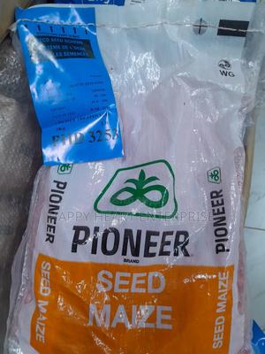 Pioneer 3253 Maize Seed 2kg - thumbnail 2