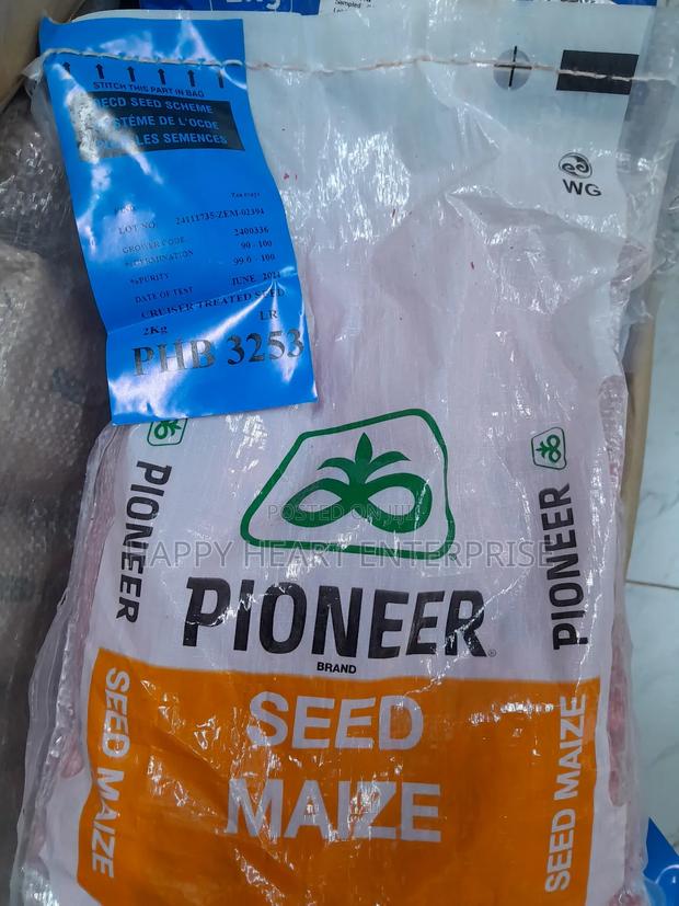 Pioneer 3253 Maize Seed 2kg - main view