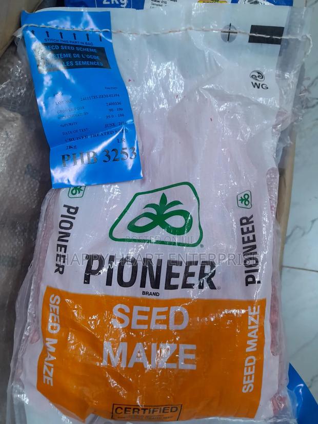 Pioneer 3253 Maize Seed 2kg - thumbnail 3