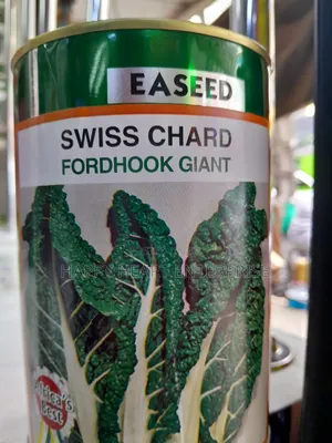 Swiss Chard Fordhook Giant Spinach 250gms