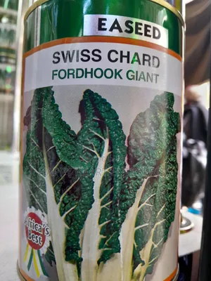 Swiss Chard Fordhook Giant Spinach 250gms