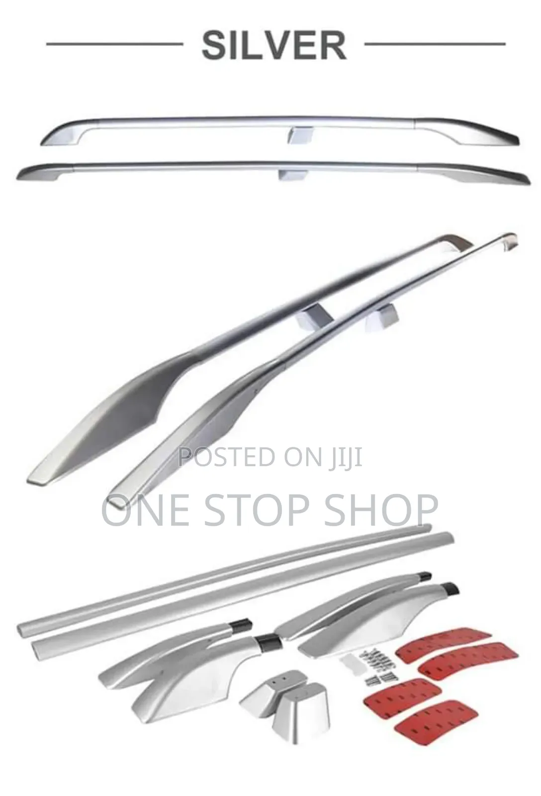 Silver Roof Rails