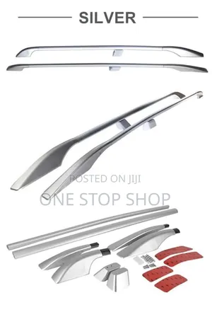 Silver Roof Rails