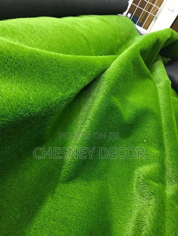 Artificial Grass Carpet Artificial Grass Carpet