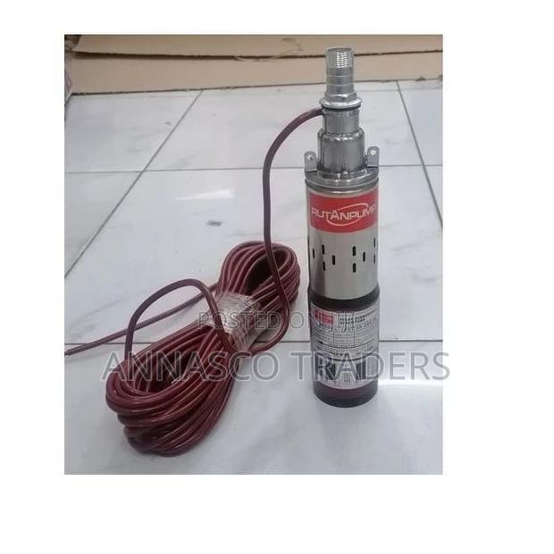 RUTANPUMP Solar Water Pump DC 24V 2m3/H 250W Submersible Sol