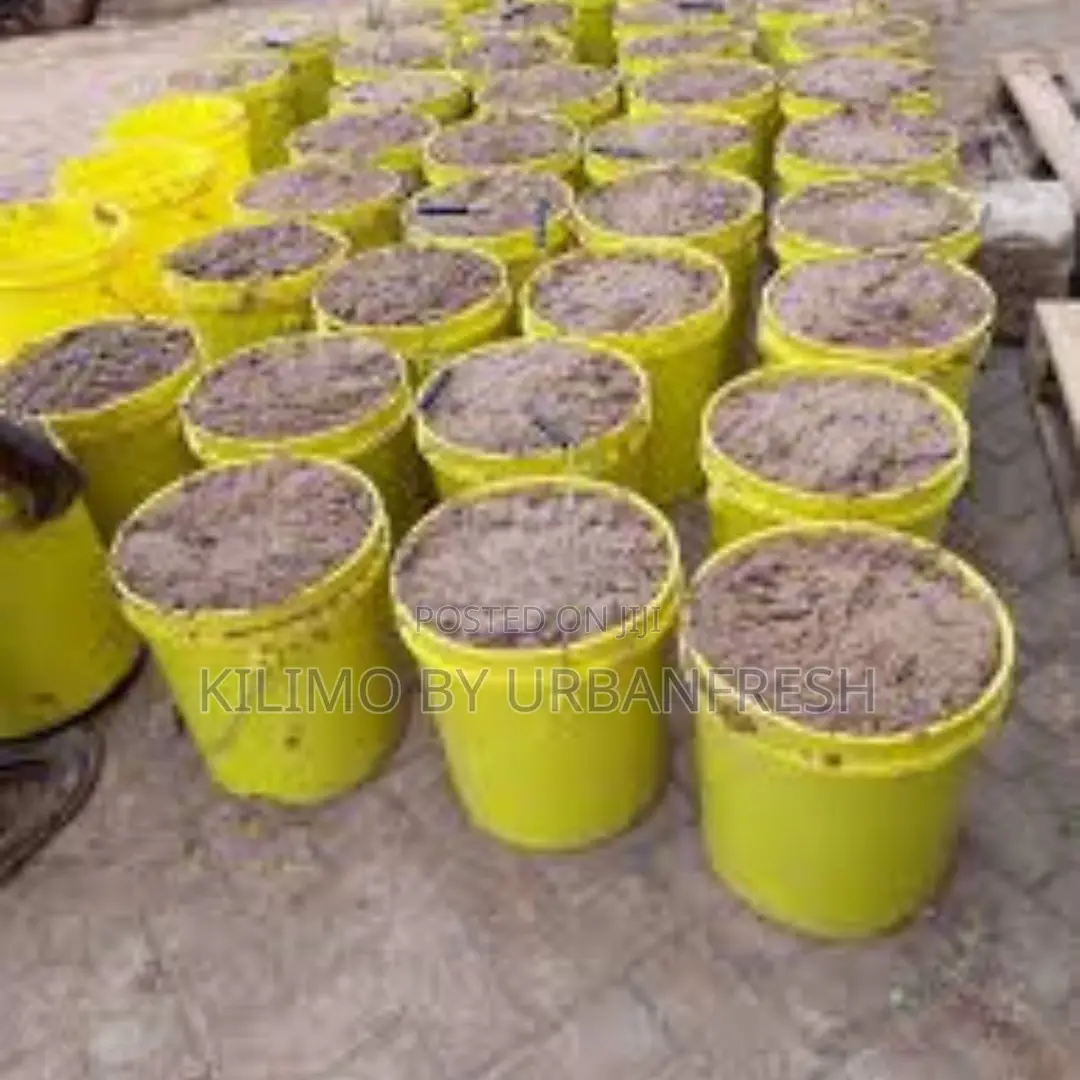 Dry Machicha (Spent Brewer Grain) 50kgs