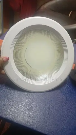 30W Downlighters