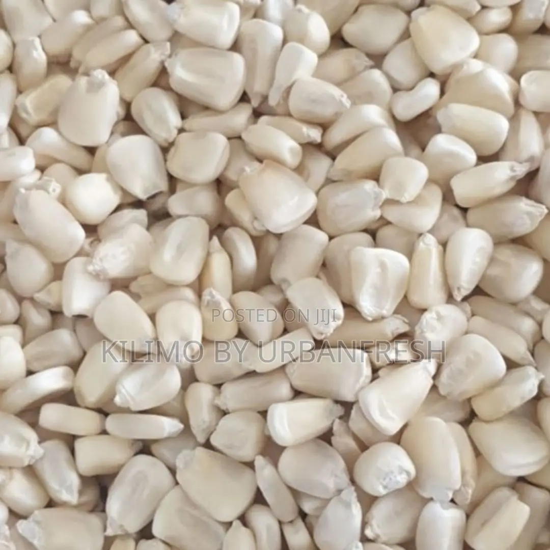 Maize Whole/Grounded (50kgs)