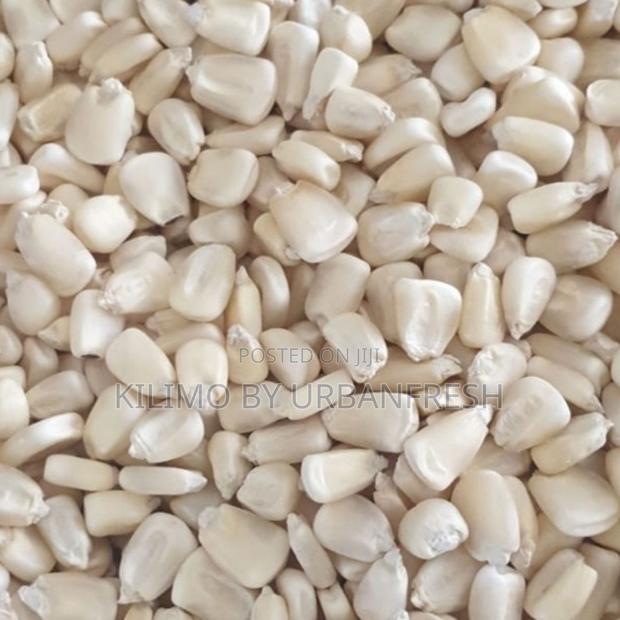 Maize Whole/Grounded (50kgs) - main view