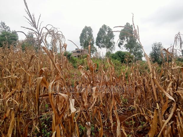 40 by 80 Plots on Sale at Kenol-Zabka