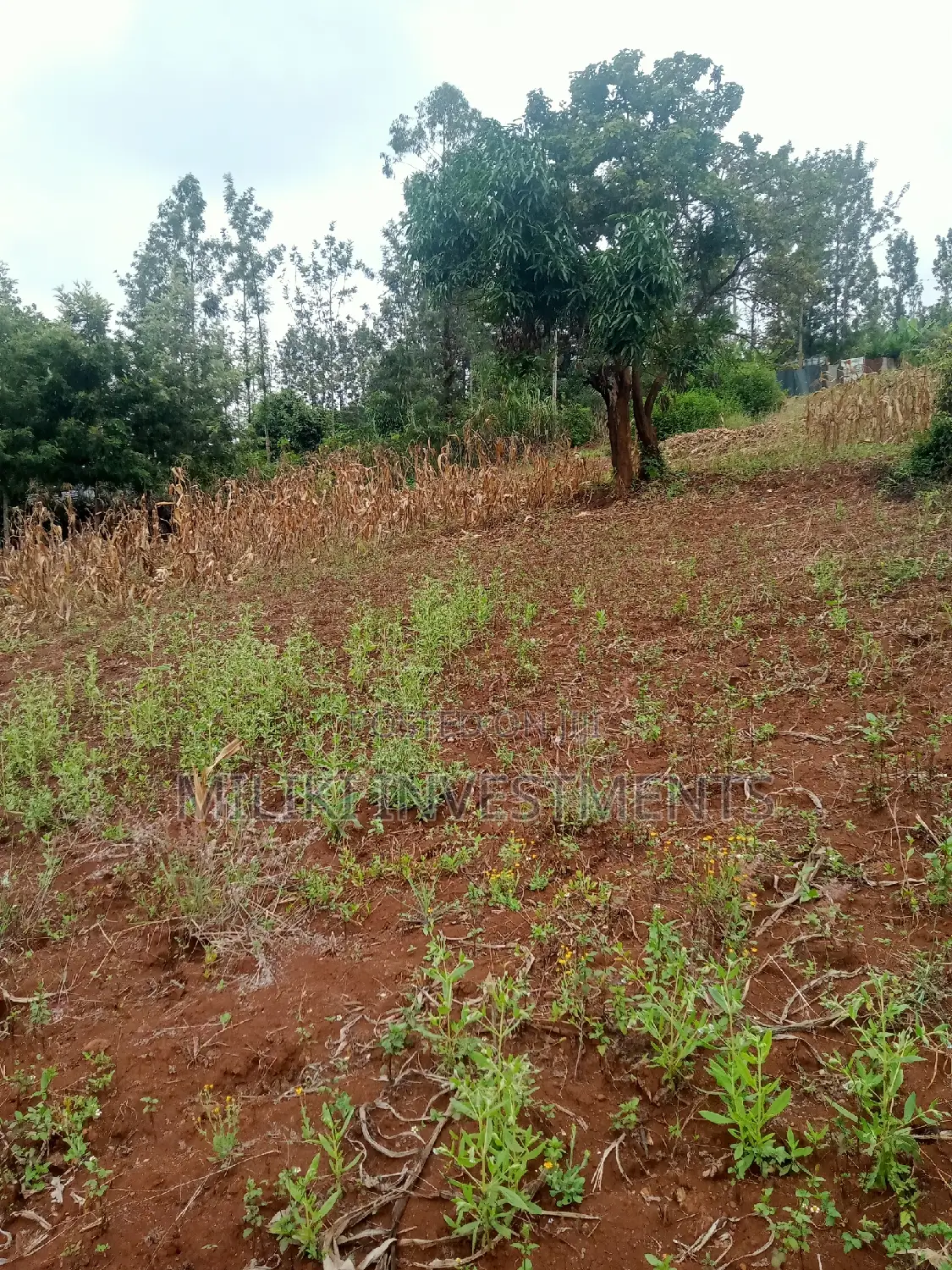 40 by 80 Plots on Sale at Kenol-Zabka
