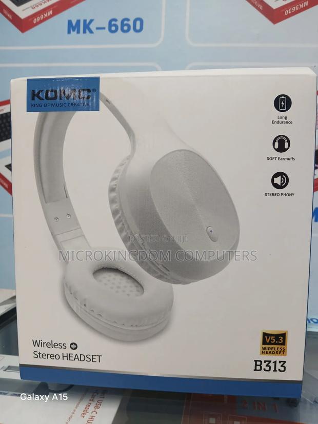 B313 Wireless Headphones - main view