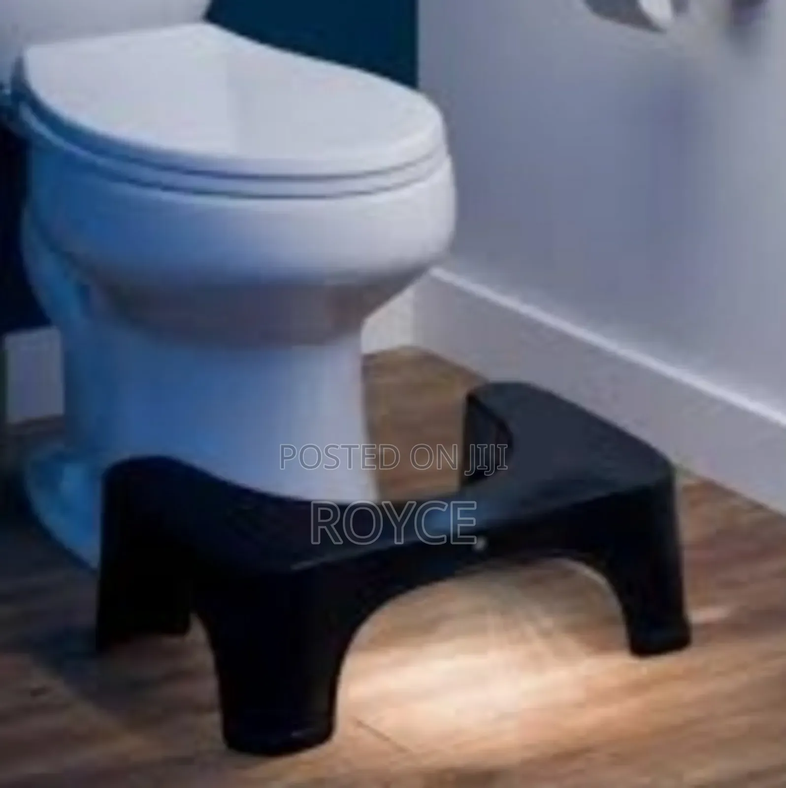 Toilet Squat Step