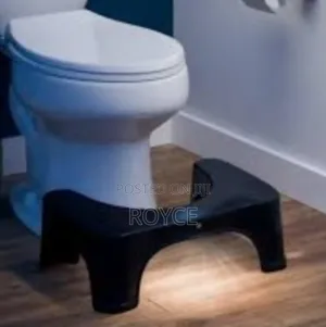Toilet Squat Step