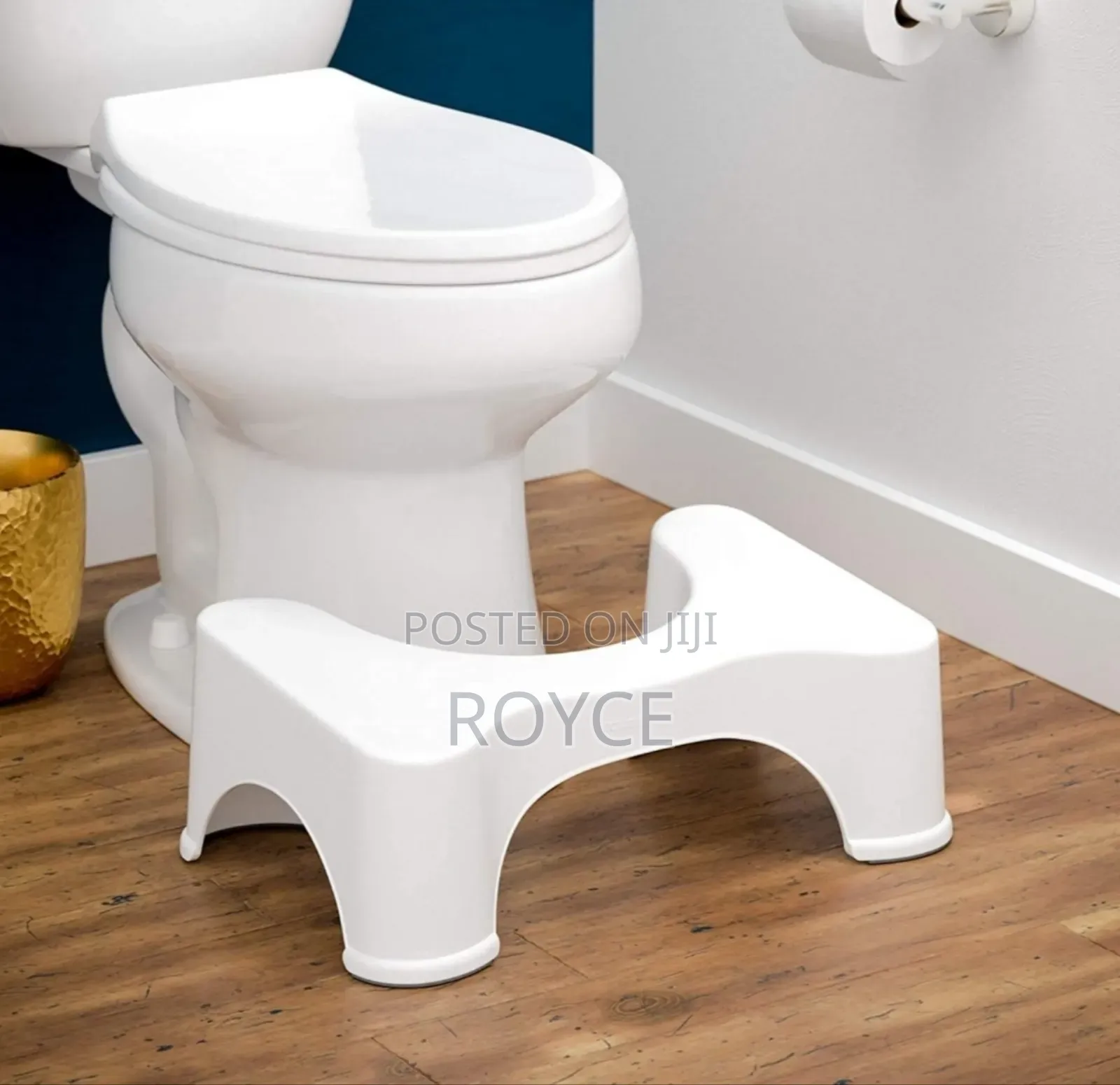 Toilet Squat Step