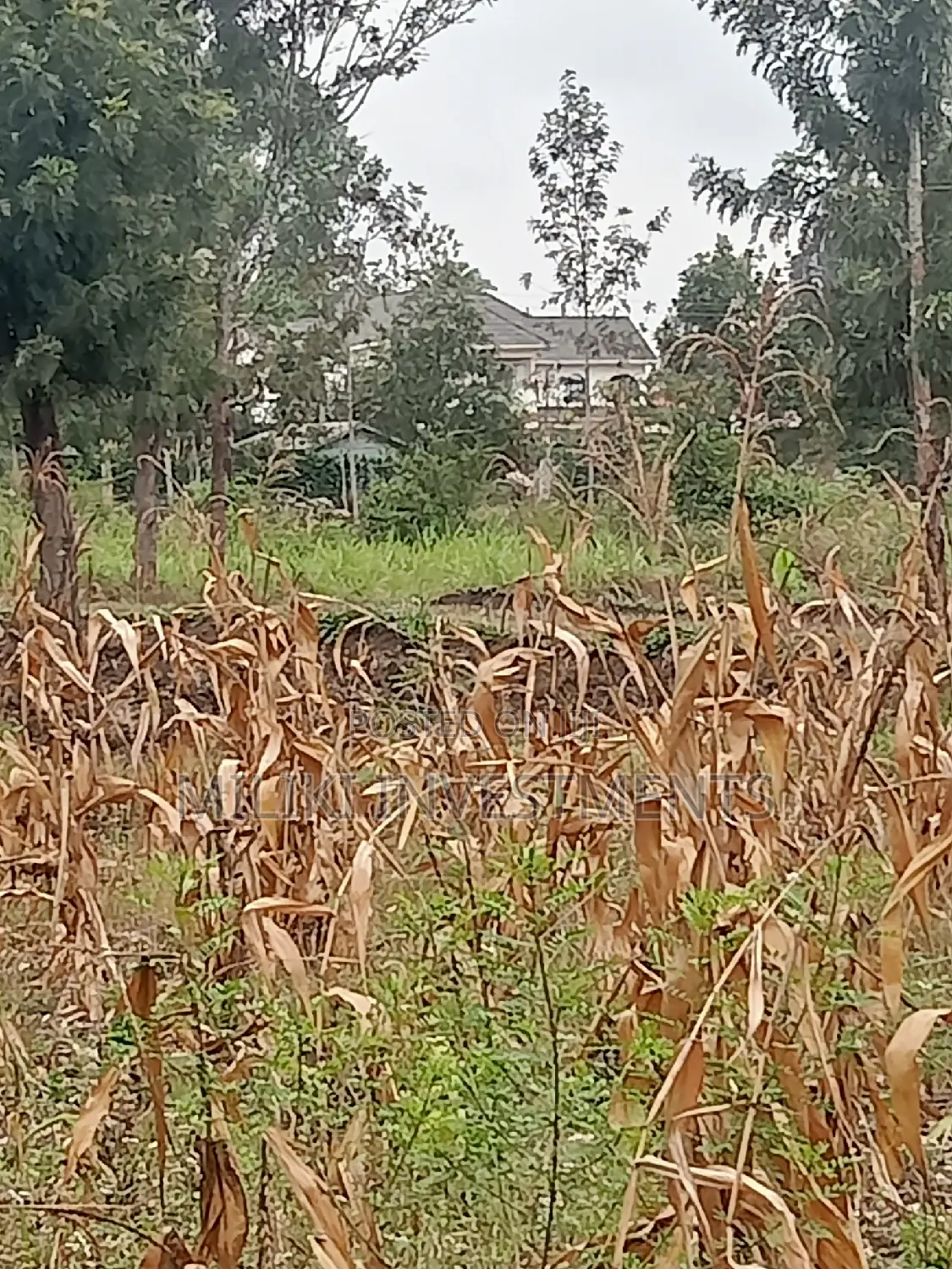 40 by 80 Plots on Sale at Kabati