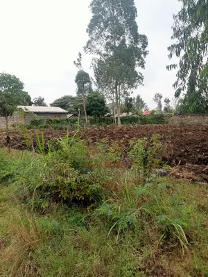 40 by 80 Plots on Sale at Kabati