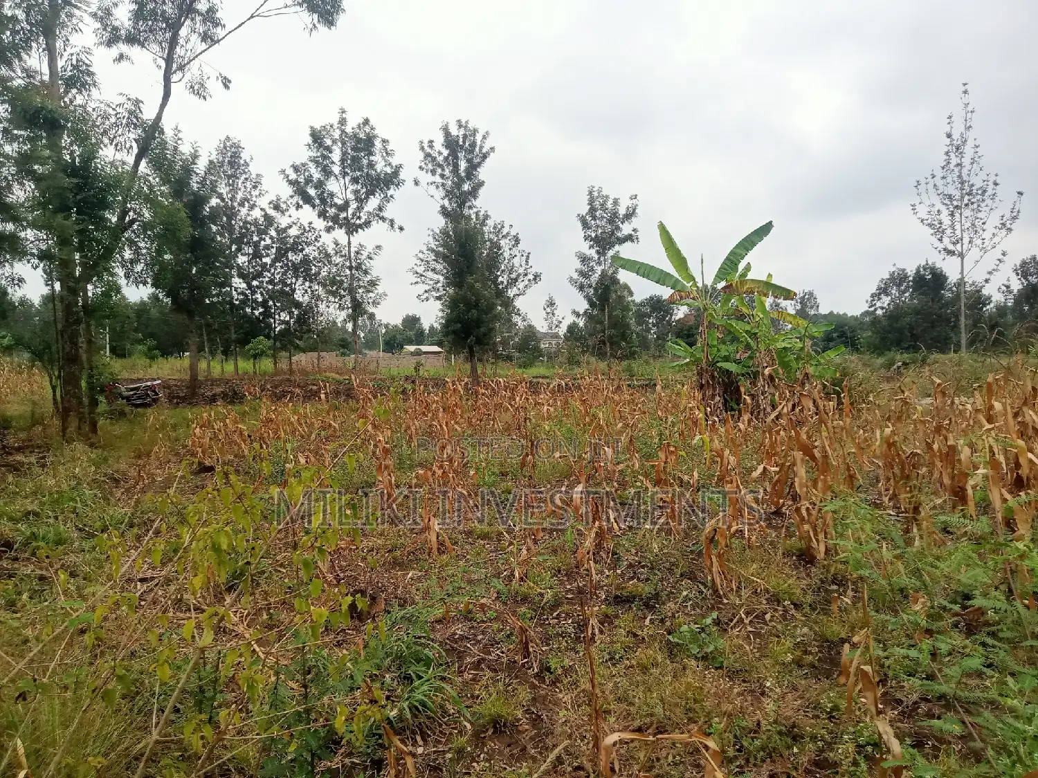 40 by 80 Plots on Sale at Kabati
