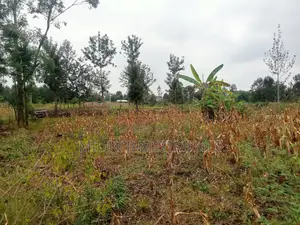 40 by 80 Plots on Sale at Kabati