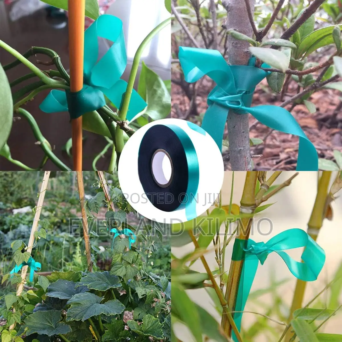 Trellis Machine