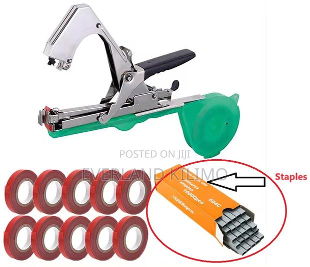 Trellis Machine - main view