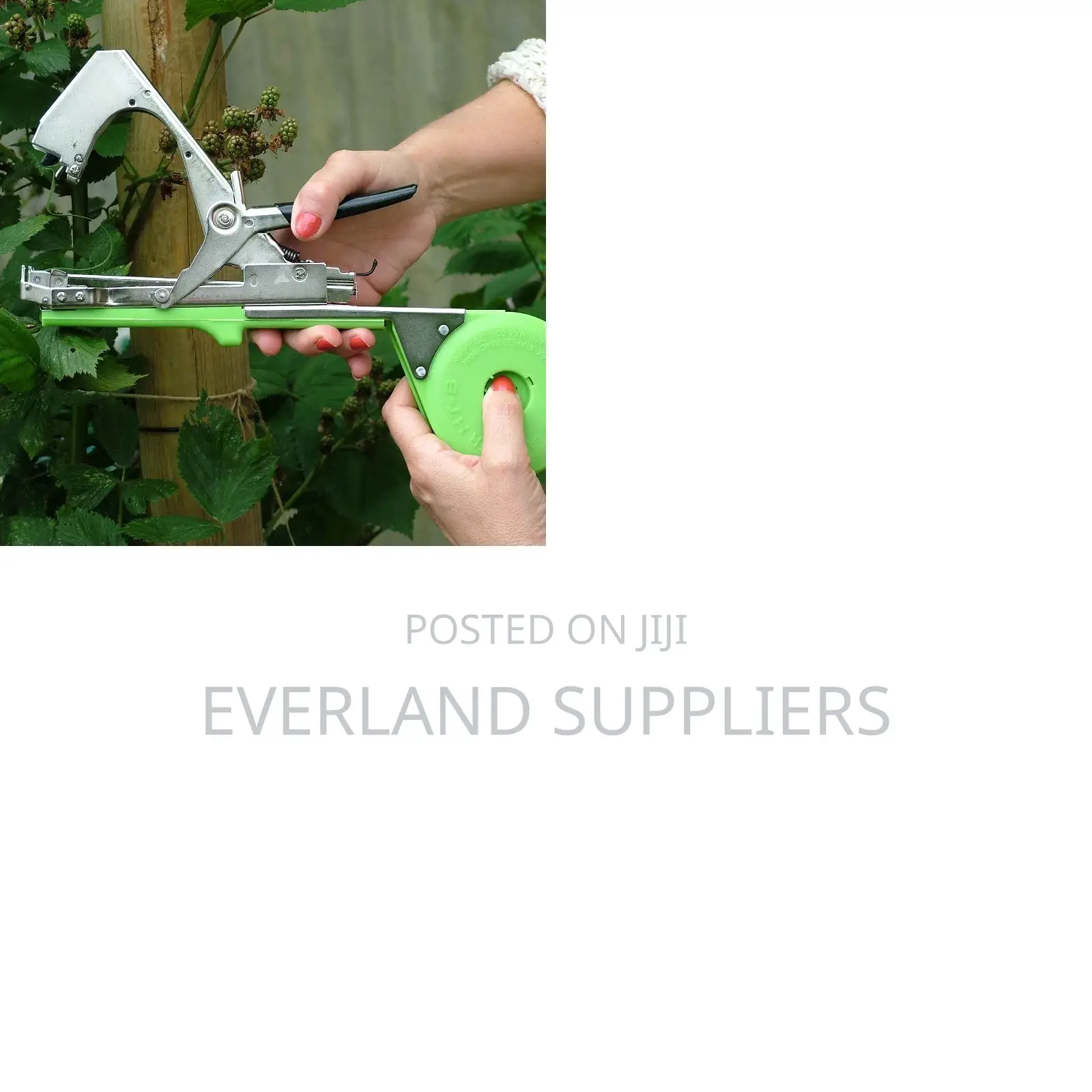 Plant Tapener / Trellising Machine