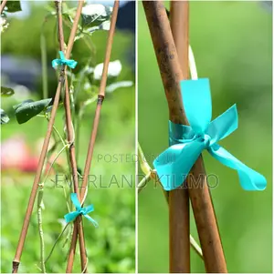 Tapener / Trellising Tape