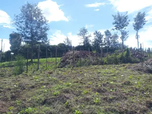 Prime Residential Plots for Sale, 50 by 100