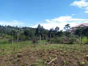 Prime Residential Plots for Sale, 50 by 100