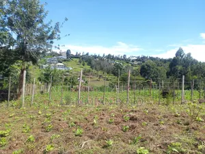 Prime Residential Plots for Sale, 50 by 100