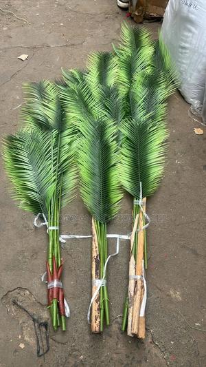 Beautiful Latest Palm Trees - thumbnail 2