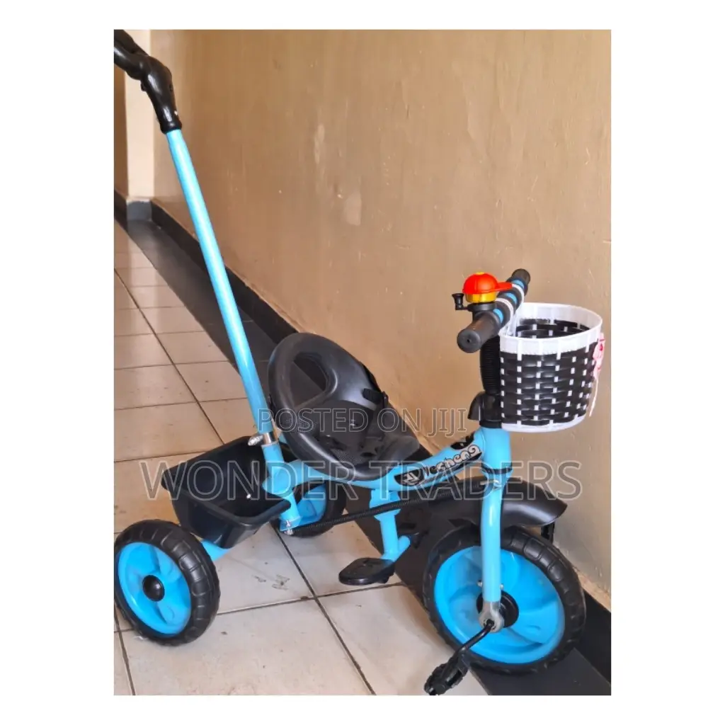 Kids Push Handle Tricycle