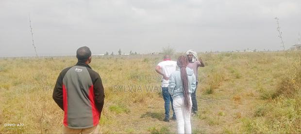 Affordable Plots for Sale in Lenchani - thumbnail 3