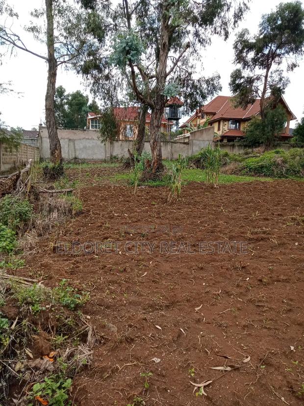 1/2 Acre Hillside With Perimeter Wall . - thumbnail 2