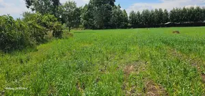 20 Acres Kabenes Good for Agricultural Use