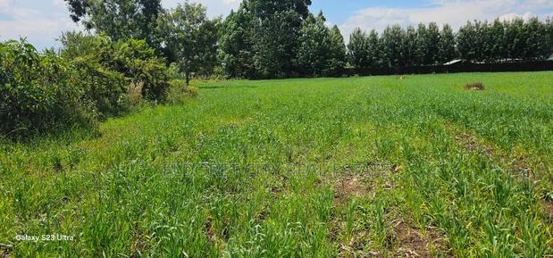 20 Acres Kabenes Good for Agricultural Use