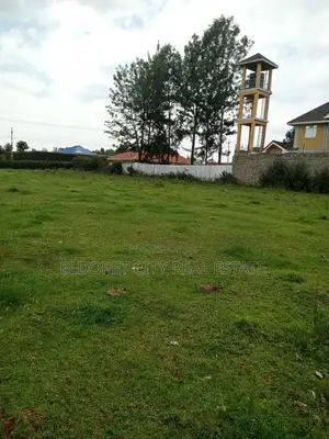 1/4 Touching Feeder Tarmac Blossom Ideal for Home