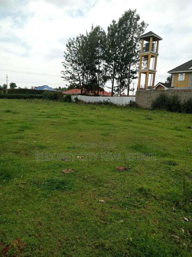 1/4 Touching Feeder Tarmac Blossom Ideal for Home