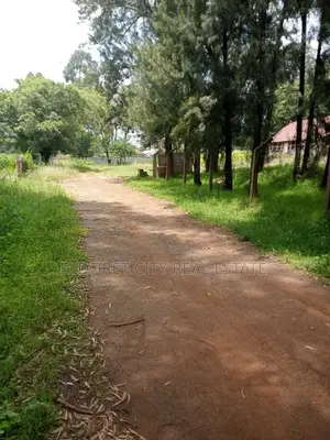 1/2 Acre Lower Elgonview Near Boma Inn Hotel